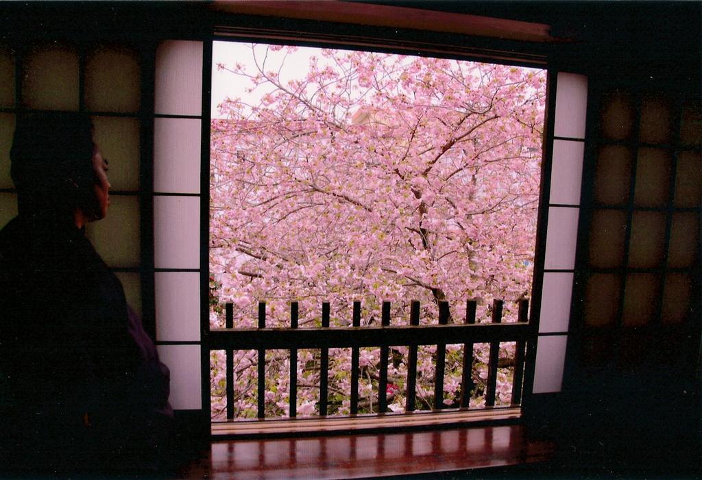 Hotel Tabi No Yado Satsuki à Hita Extérieur photo