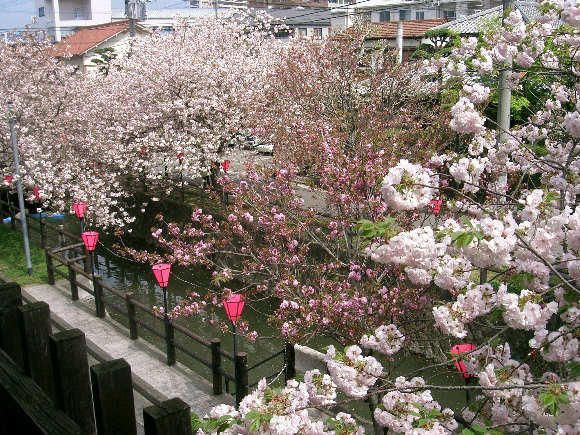 Hotel Tabi No Yado Satsuki à Hita Extérieur photo